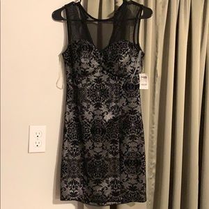 Charlotte Russe dress. NWT.